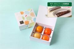 キャンペーン対象商品★フルーツゼリーギフト 4個入　【8月31日まで販売】