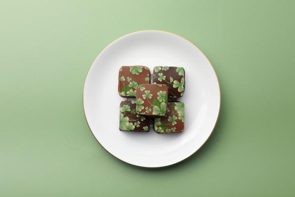 ショコラブラウニー クローバー ラクテ 65g　【3月9日まで販売】