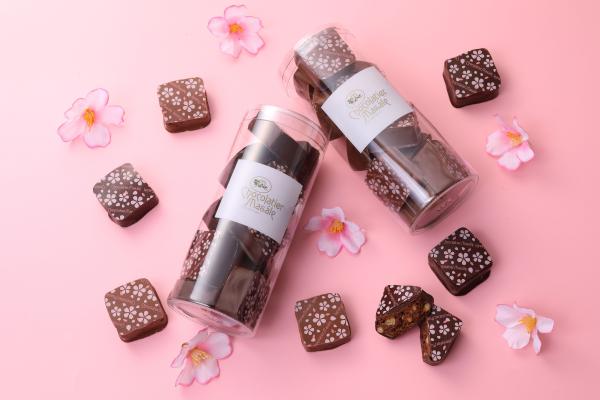 ショコラブラウニー ラクテ 桜　65g　【4月30日まで販売】
