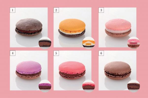 果実のハーモニー マカロン 6個入