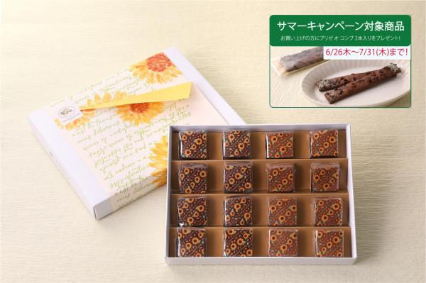 キャンペーン対象商品★ショコラブラウニー ノワール&ラクテ ひまわり 16個入【8月31日まで販売】