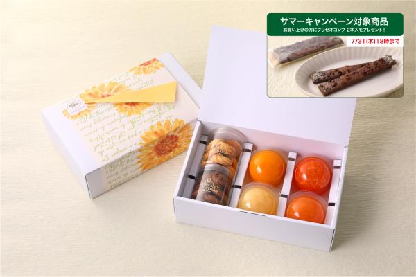 キャンペーン対象商品★サマーセレクション B 【8月31日まで販売】