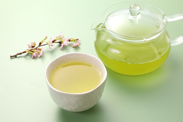 知覧(ちらん) ゆたかみどり